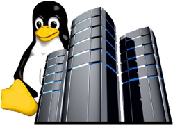 A Server that Perfectly Meets Your Needs