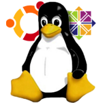 Linux linux dedicated server