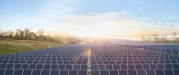 apples solar farms