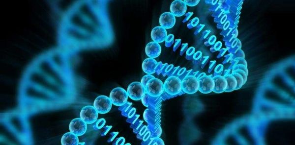data storage solutions dna data storage