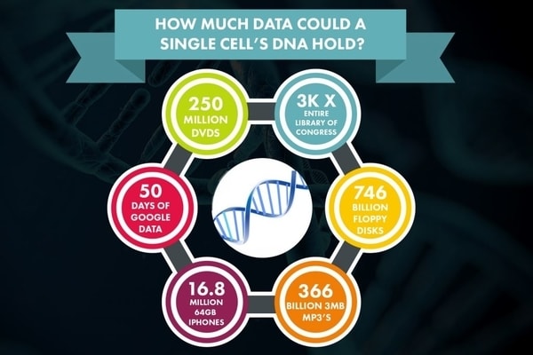 What s The Deal With DNA Data Storage what-s-the-deal-with-dna-data-storage