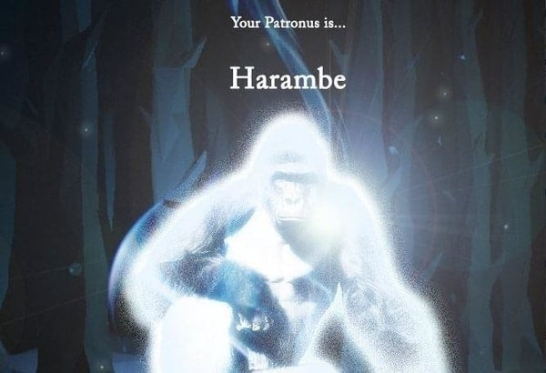 patronus harambe