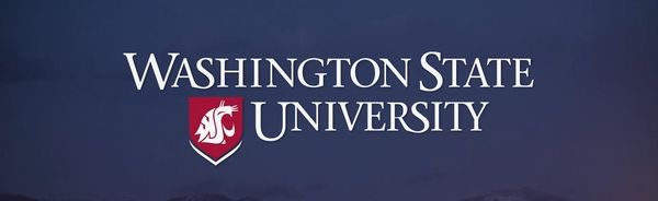 2017 washington state university hacked