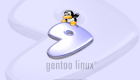 gentoo dedicated server