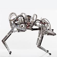 Boston Dynamics Robot