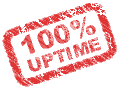 100 percent uptime