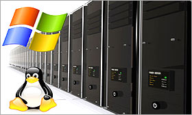 low cost dedicated server dedicated server