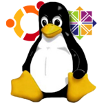 linux dedicated server