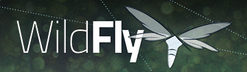 WildFly