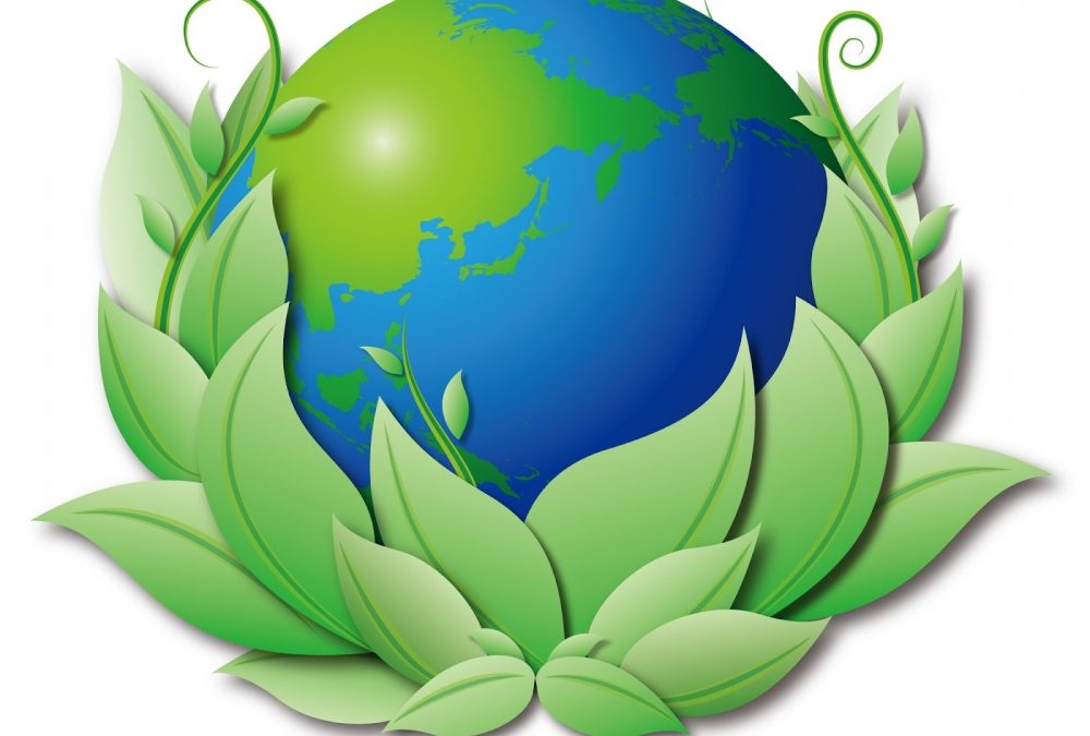 earth day 2013