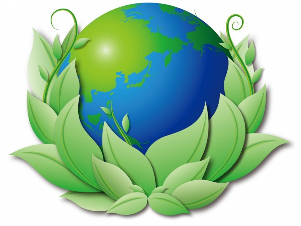 earth day 2013