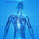 Cyber man skeletal system