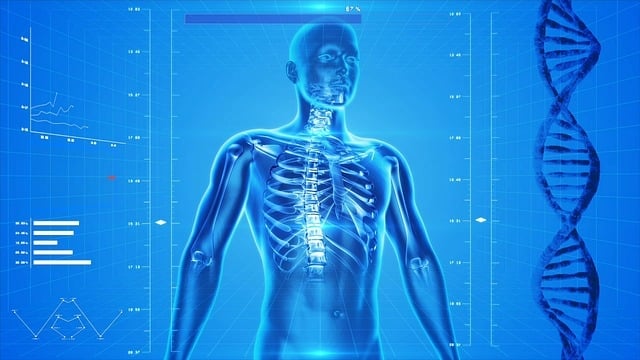 Cyber man skeletal system