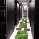 data center green