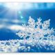 special snowflake