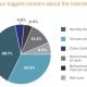 biggest concern about internet
