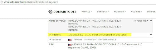 shared ip domain lookup