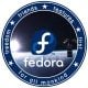 fedora dedicated server