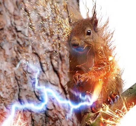 sparky squirrel