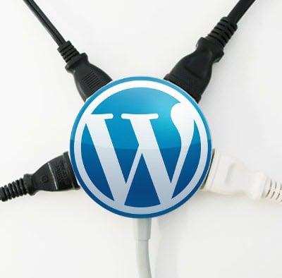 wordpress plug ins