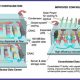 cooling system diagram