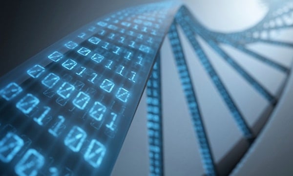 data storage on dna