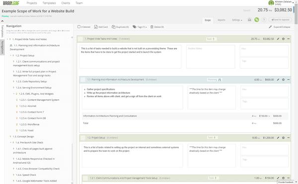 critical steps in project development