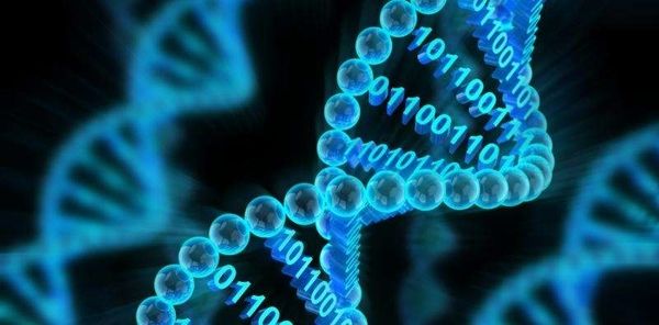 dna data storage 1