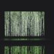 data scientists