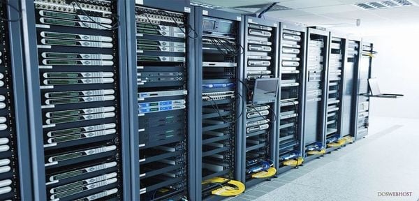 dedicated server hosting business