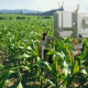 iot farming