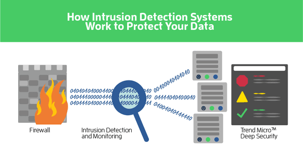 wireless intrusion detection systems