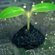 how data centers go green