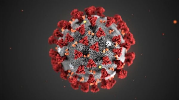 artificial intelligence fighting coronavirus